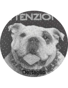 CANE da GUARDIA Tapis velours tapis 40 x 60 cm 2