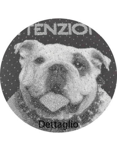 CANE da GUARDIA Teppich Matte samt 40 x 60 cm