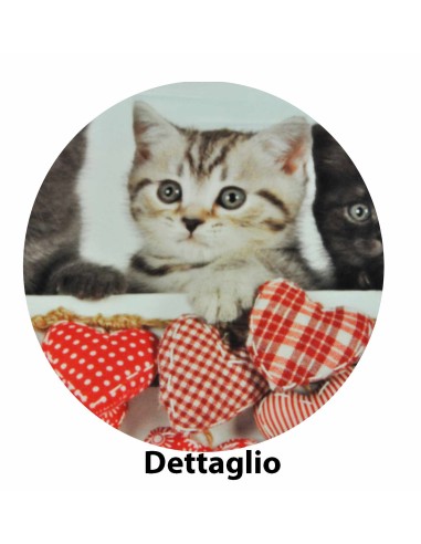 Micio Fresh Life copripiumino varie misure