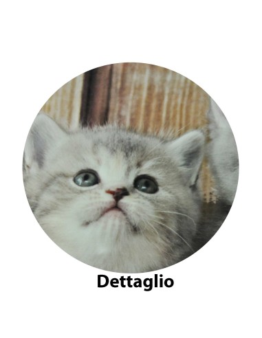 Cat Fresh Life copripiumino varie misure