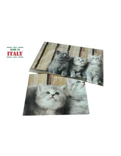 Cat Fresh Life copripiumino varie misure 2