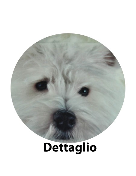 Voyager Fresh Life copripiumino varie misure