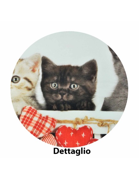 Micio Fresh Life completo letto varie misure