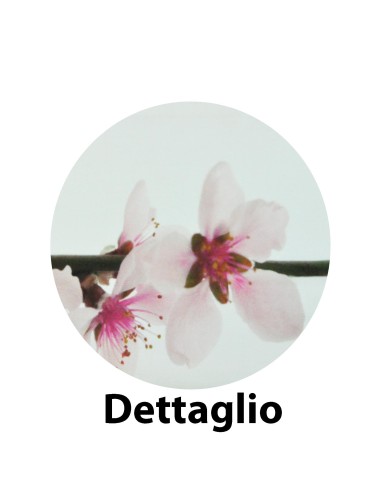 Lady Fresh Life el lecho fija varias medidas