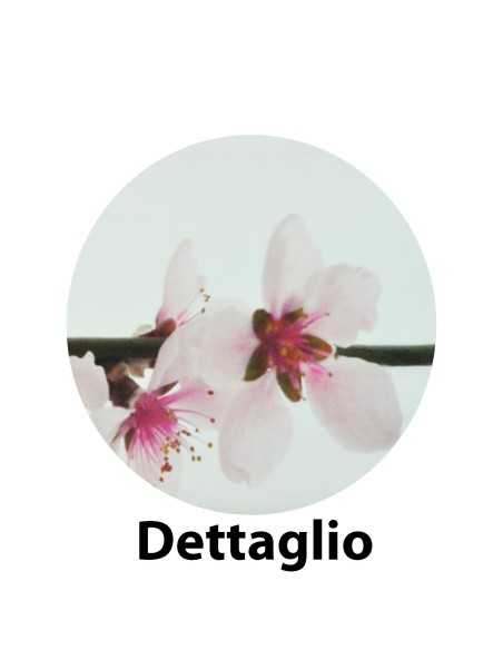 Lady Fresh Life completo letto varie misure